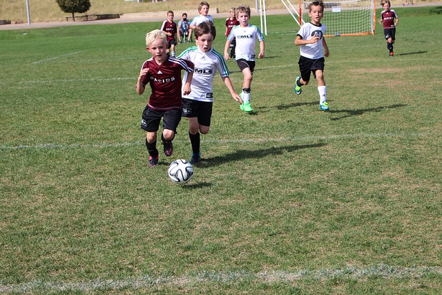 排名的推动 排名的推动