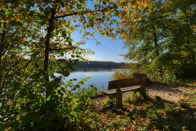 够完善的地 够完善的地