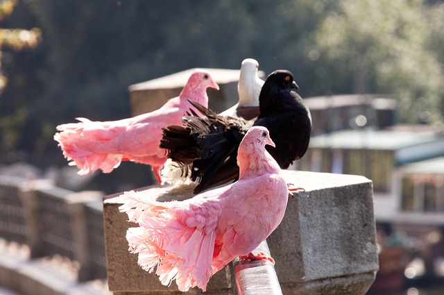 通过多方努 通过多方努