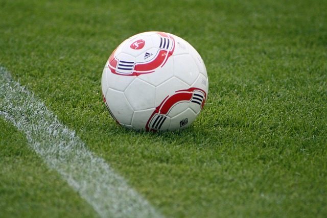 的转型路径 的转型路径