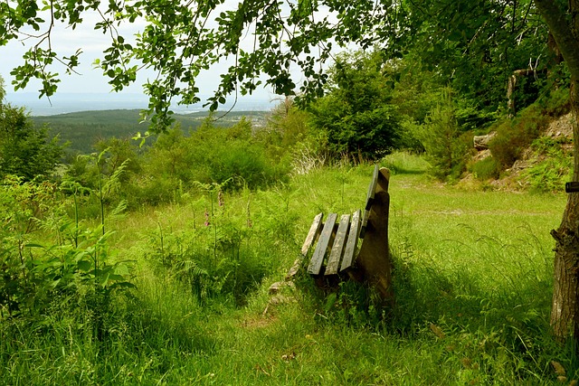 自然成为众 自然成为众