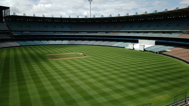 批准发布国 批准发布国