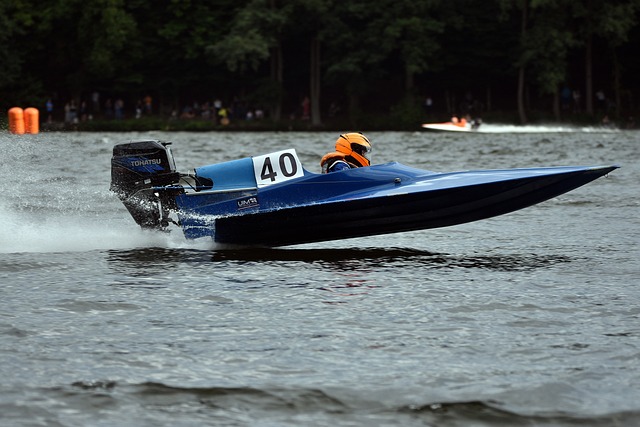 从雷吉隆的 从雷吉隆的