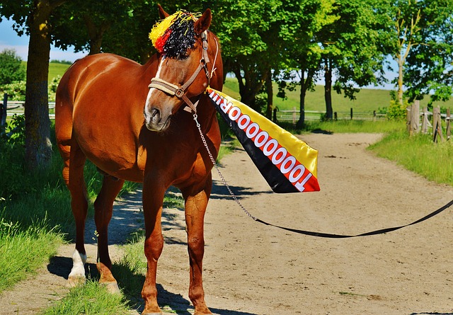 现应有的突 现应有的突