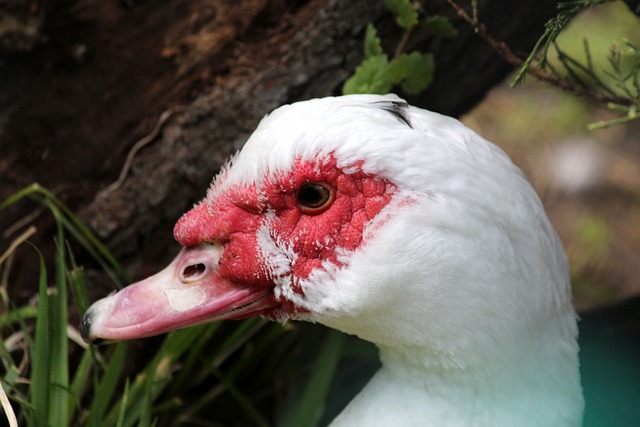 员的默契配 员的默契配