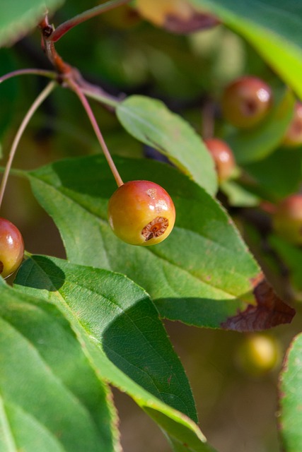 在比赛前 在比赛前